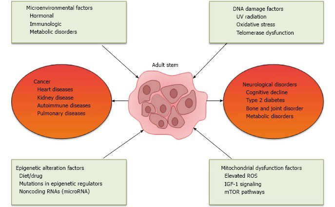 1532045482976625KfQM.png 圖片8.png
