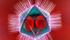 15320495457947392ow5.png 圖片102.png