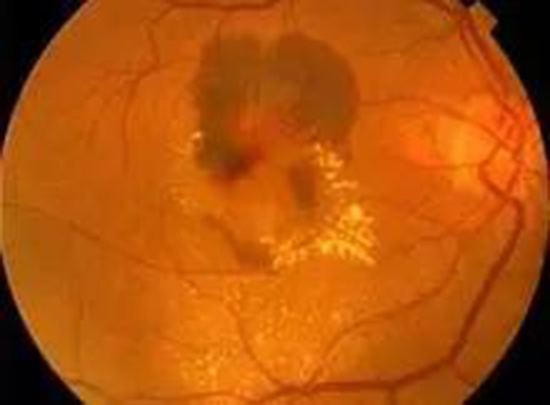 1532049721500894B7J5.png 圖片107.png