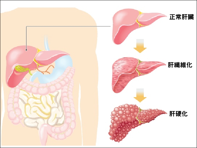 1532051707866771atJG.png 圖片190.png