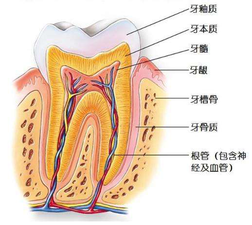 1537923397947476o2rr.png 圖片2.png